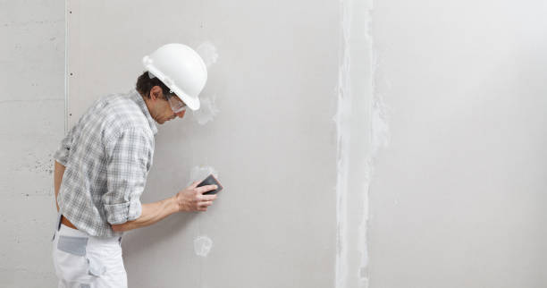 Best Mold-Related Health Consultation  in Bloomingdale, FL