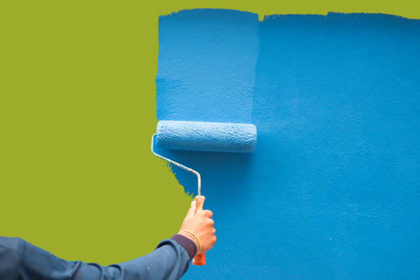 Best Mold Odor Removal Services  in Bloomingdale, FL